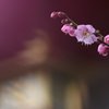 一凛