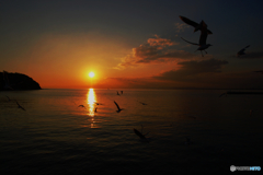夕暮れ