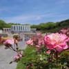 須磨離宮公園