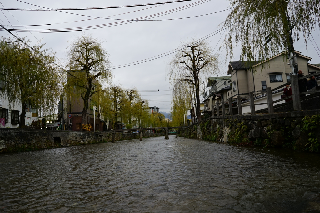 白川にて