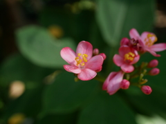 鶴見緑地公園