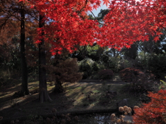 服部緑地都市緑化植物園