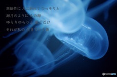 海月