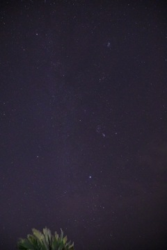 冬の星空