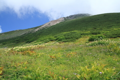 夏山白山