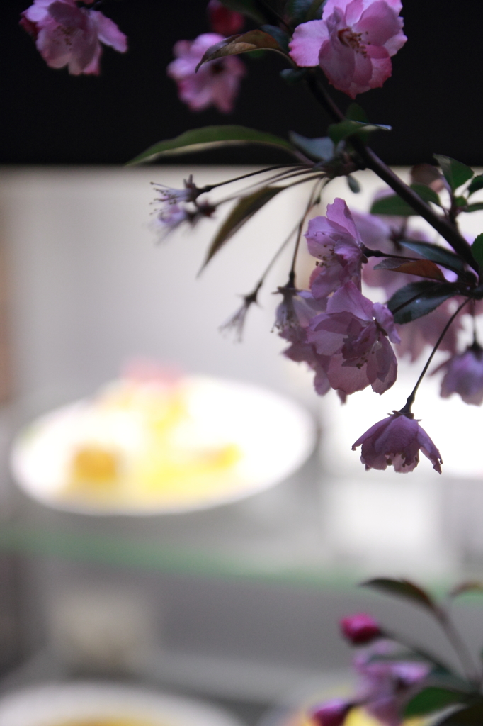 ショ－ケースを飾る花