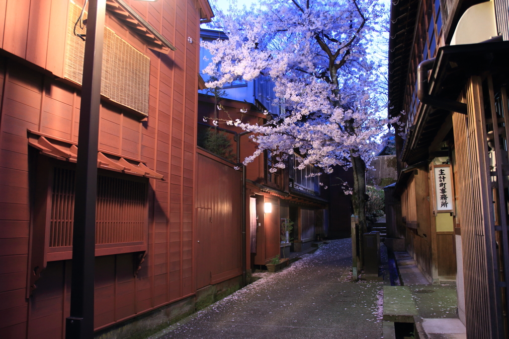 風情溢れる茶屋街