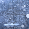 雪幻-winter dust-