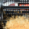 大麦刈りキュラム・マネジメントシステム