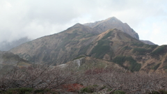 Mt  Dainichidake