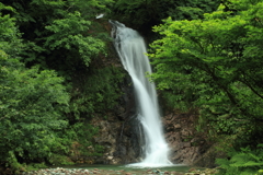 医王山・三蛇ヶ滝