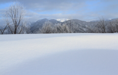 snow field