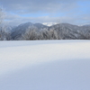 snow field