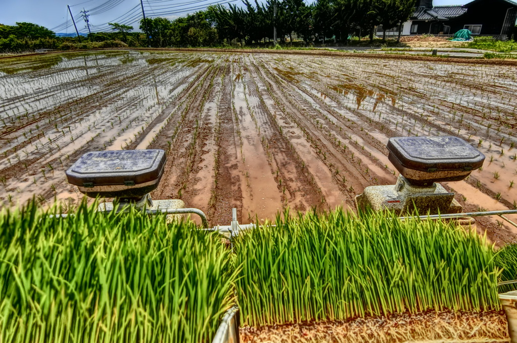 田植え機等