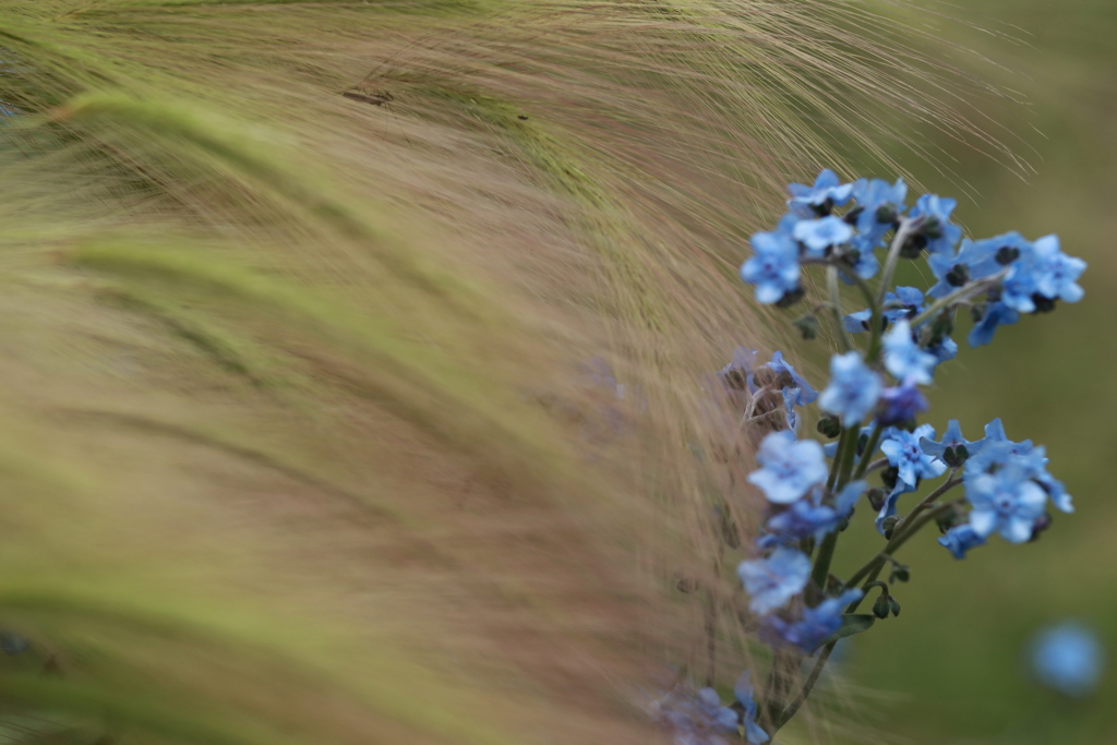 Something in My House