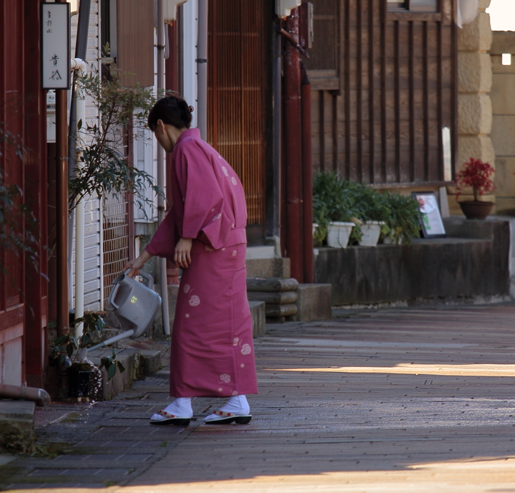 撫子色の華