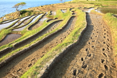 田園に足跡を刻む