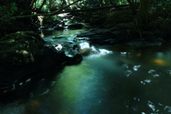深緑の流れ2