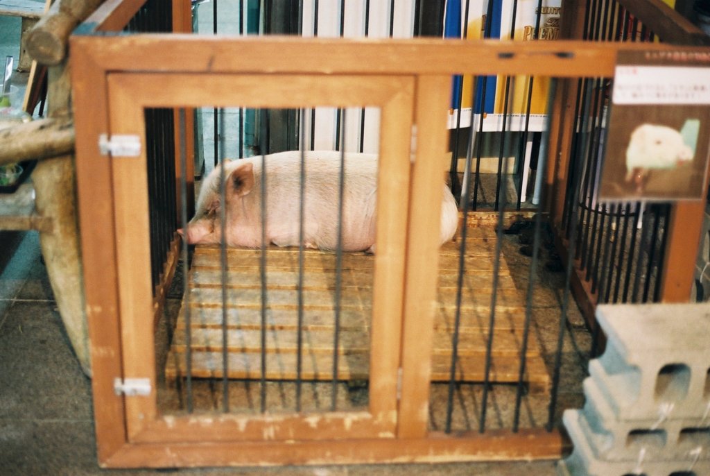 この街〔バオ君〕