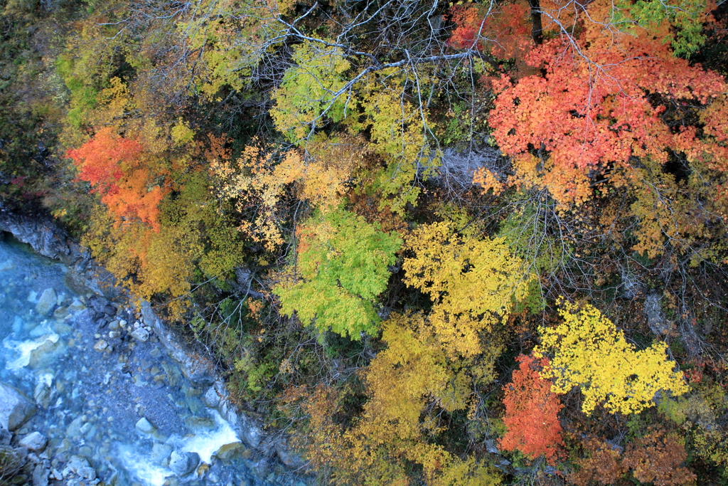 崖っぷちの紅葉