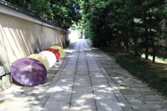 建仁寺・和傘の競演