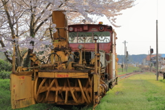 満開の桜にご満悦の雪かき列車
