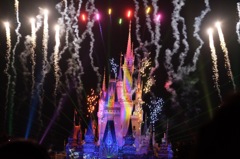 TDL