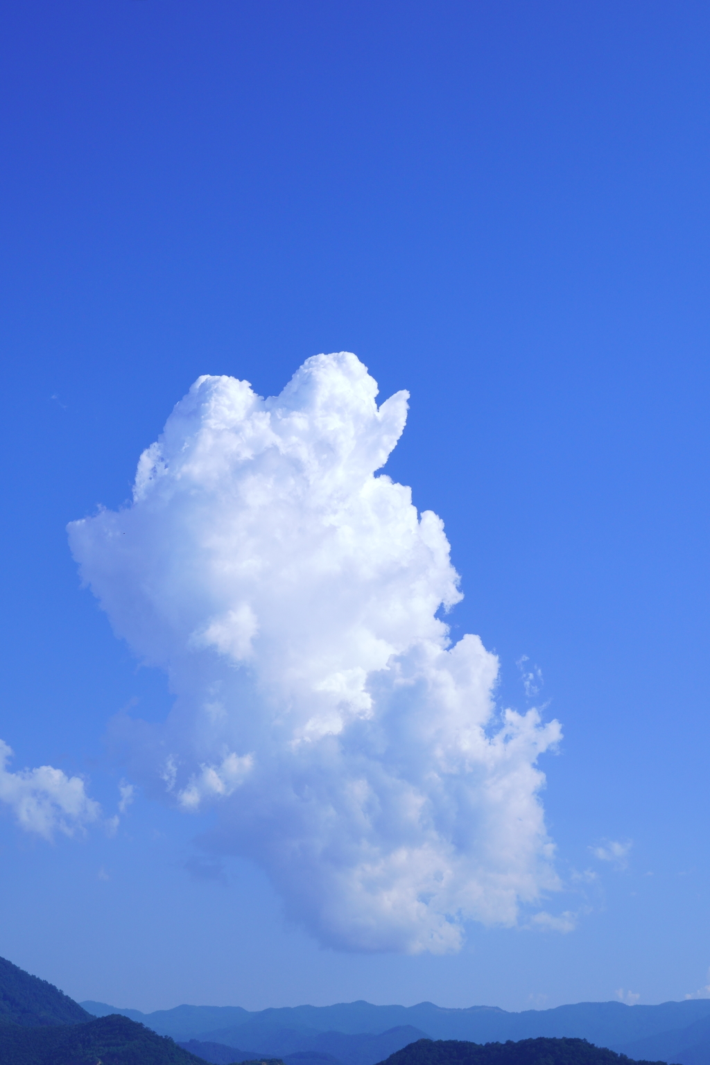 梅雨が開け、いよいよ真夏本番・・・猛暑嫌・・・。