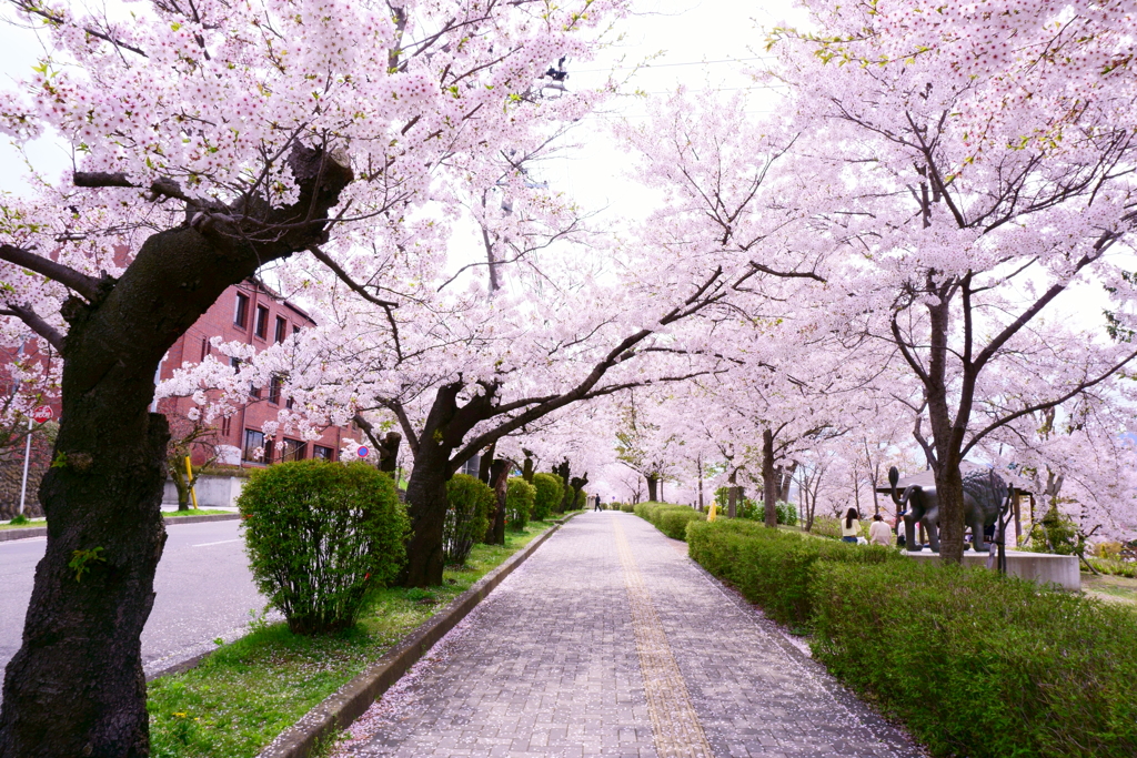 長野市城山公園