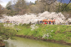 上田城千本桜祭