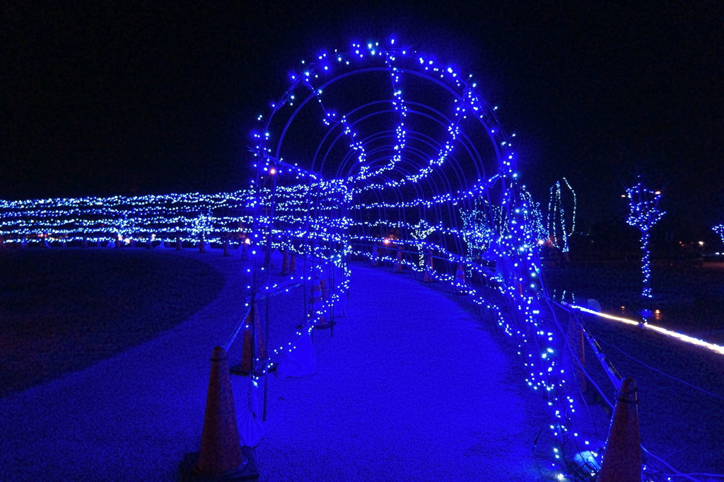 長野市南長野運動公園イルミネーション3 By Okojo Id 写真共有サイト Photohito