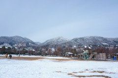 公園の冬景色