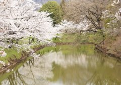 上田城千本桜祭り