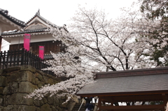 上田城千本桜祭り