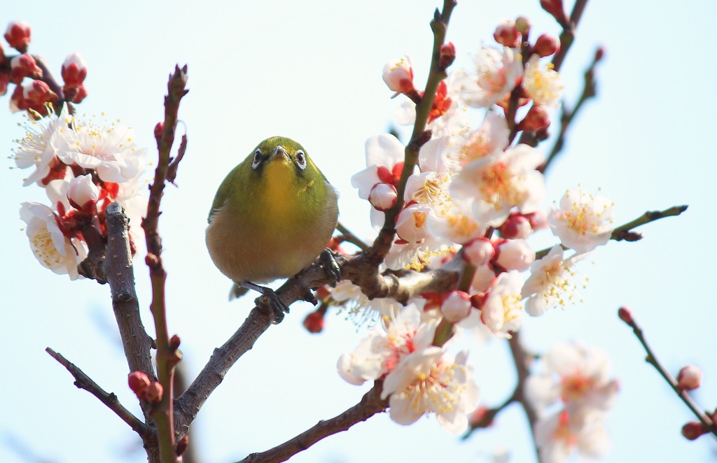 小春日和