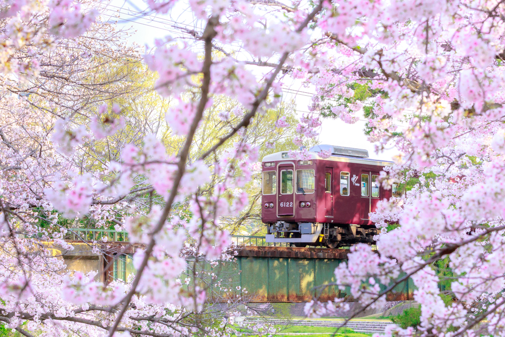 夙川2020⑥