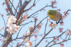 それも美味そうだな…