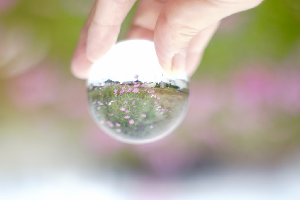 君に見せたいもう一つの世界