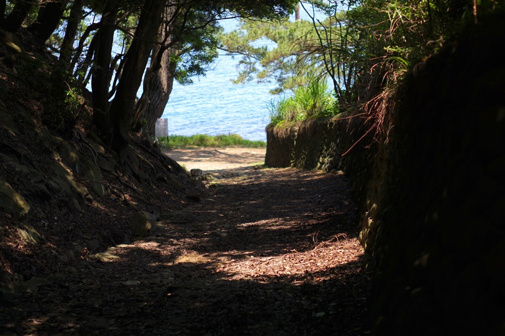 海が見えたとき…