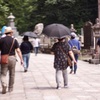 悠々閑々