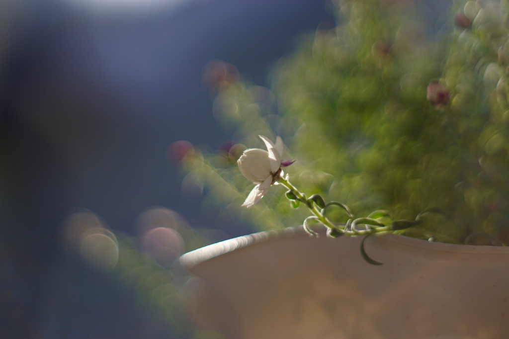 もやもやクリスタル 花かんざし