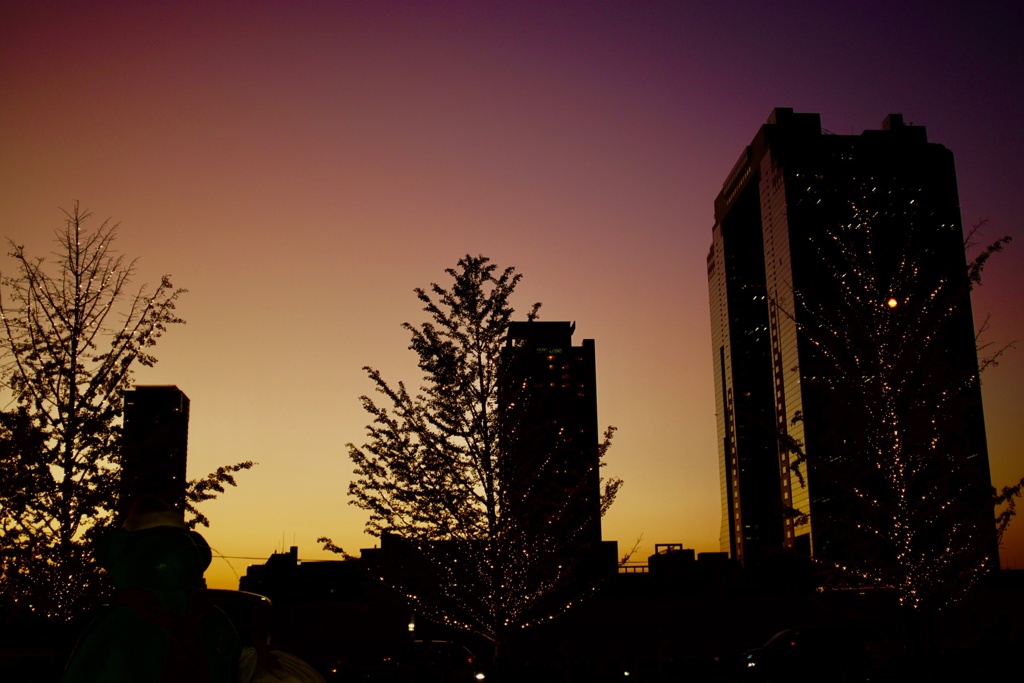 大阪の街 きれいな色やね˗ˏˋ ˎˊ˗