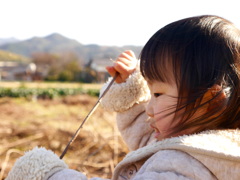 お散歩は 小さな冒険がいっぱい