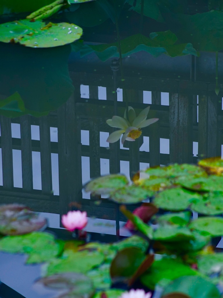 水鏡