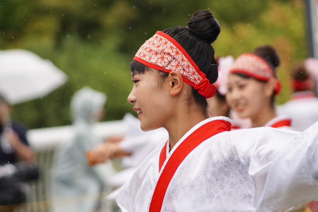 憂き世を渡る満開の桜