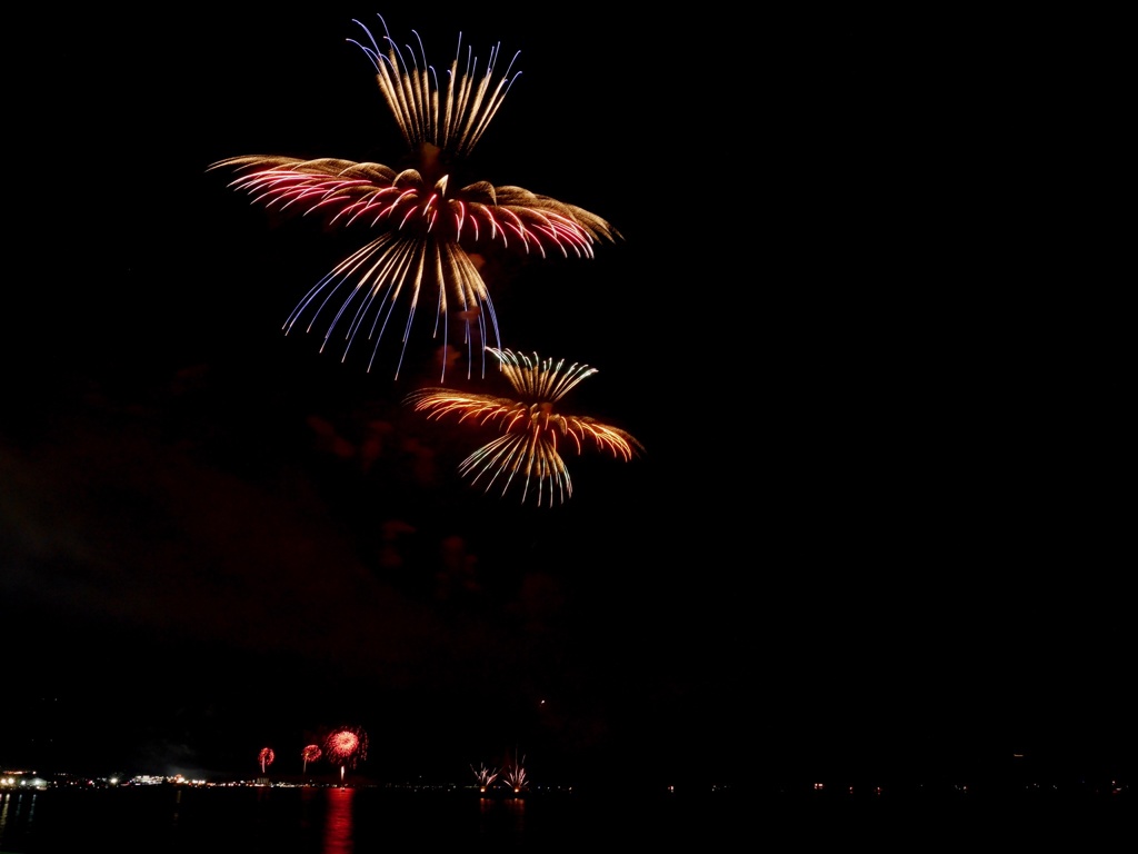 夜空に咲いた夏の花