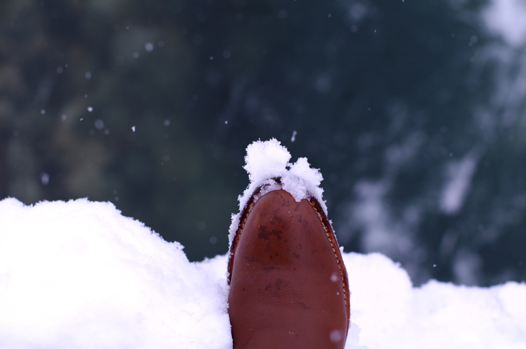 ねぇ見てー 雪よ！ 雪‼︎