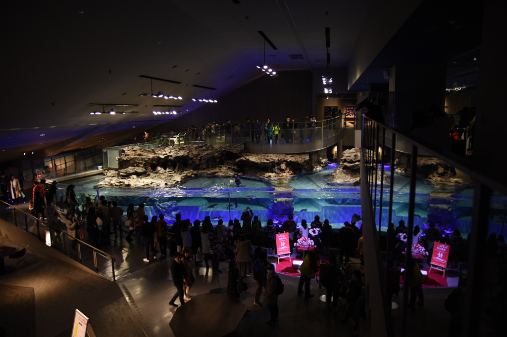 すみだ水族館