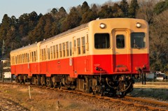冬の夕陽に向かって