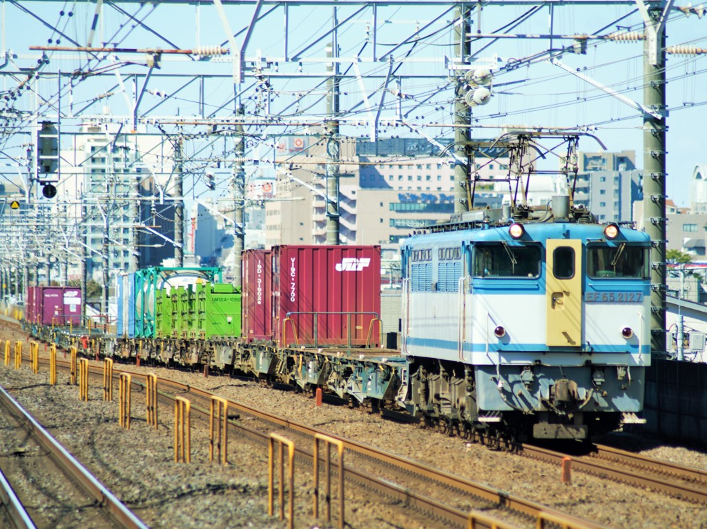 カラシが総武快速線を行く